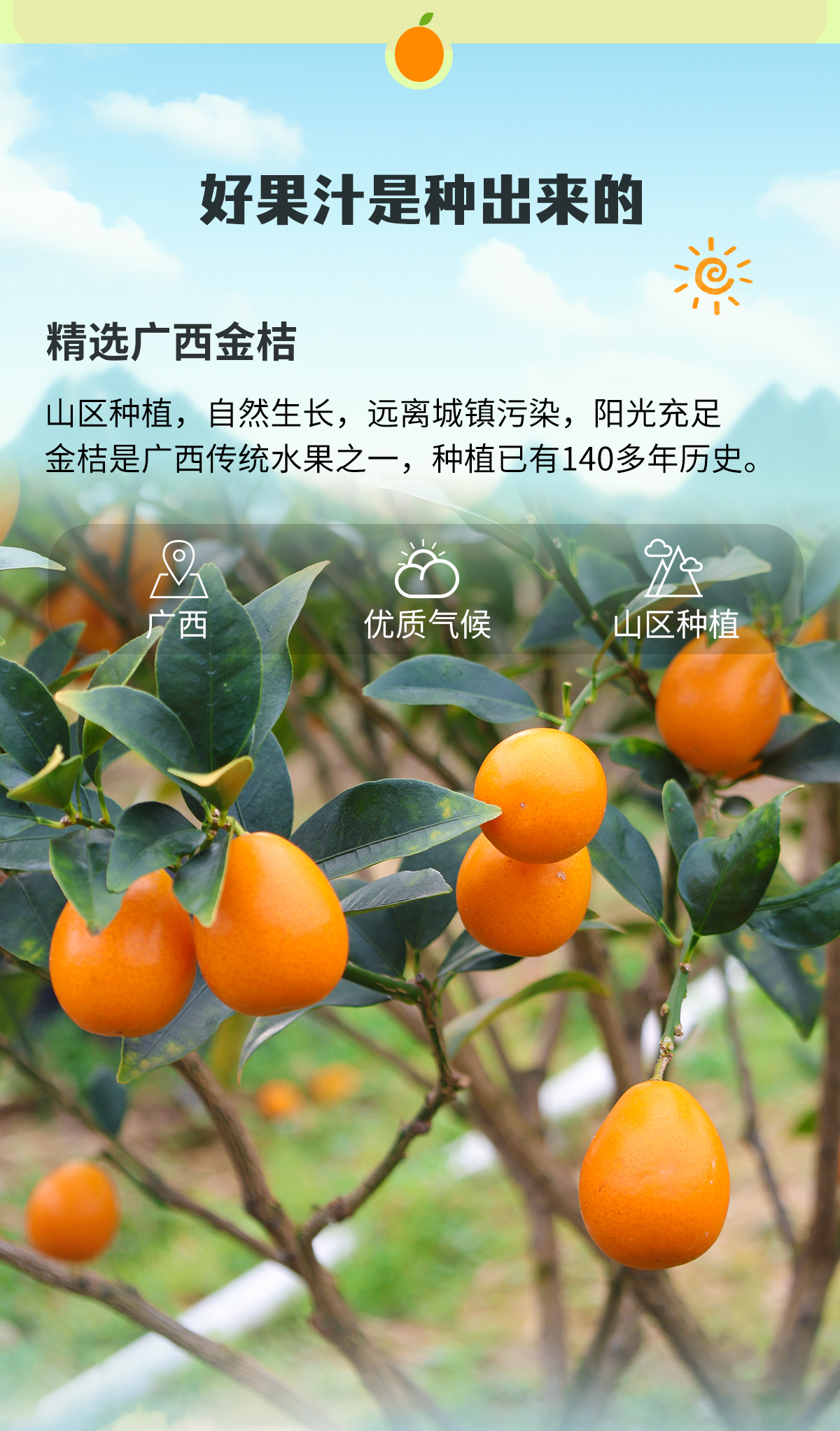 330详情_03.jpg