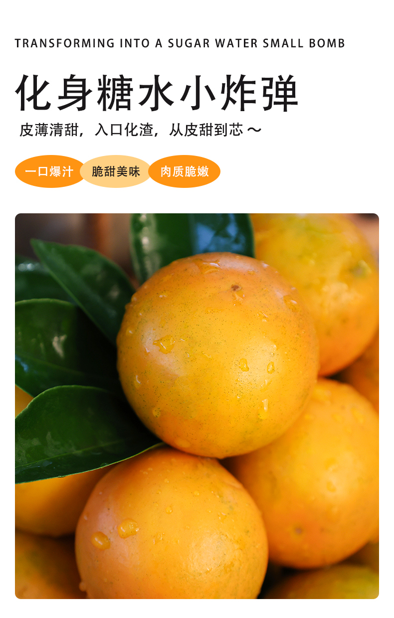 脆蜜金柑详情页_03.jpg