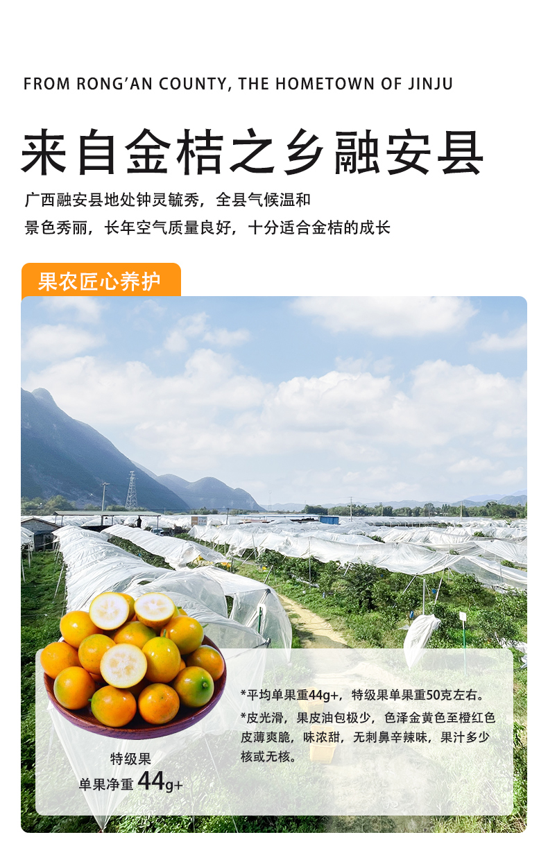 脆蜜金柑详情页_05.jpg
