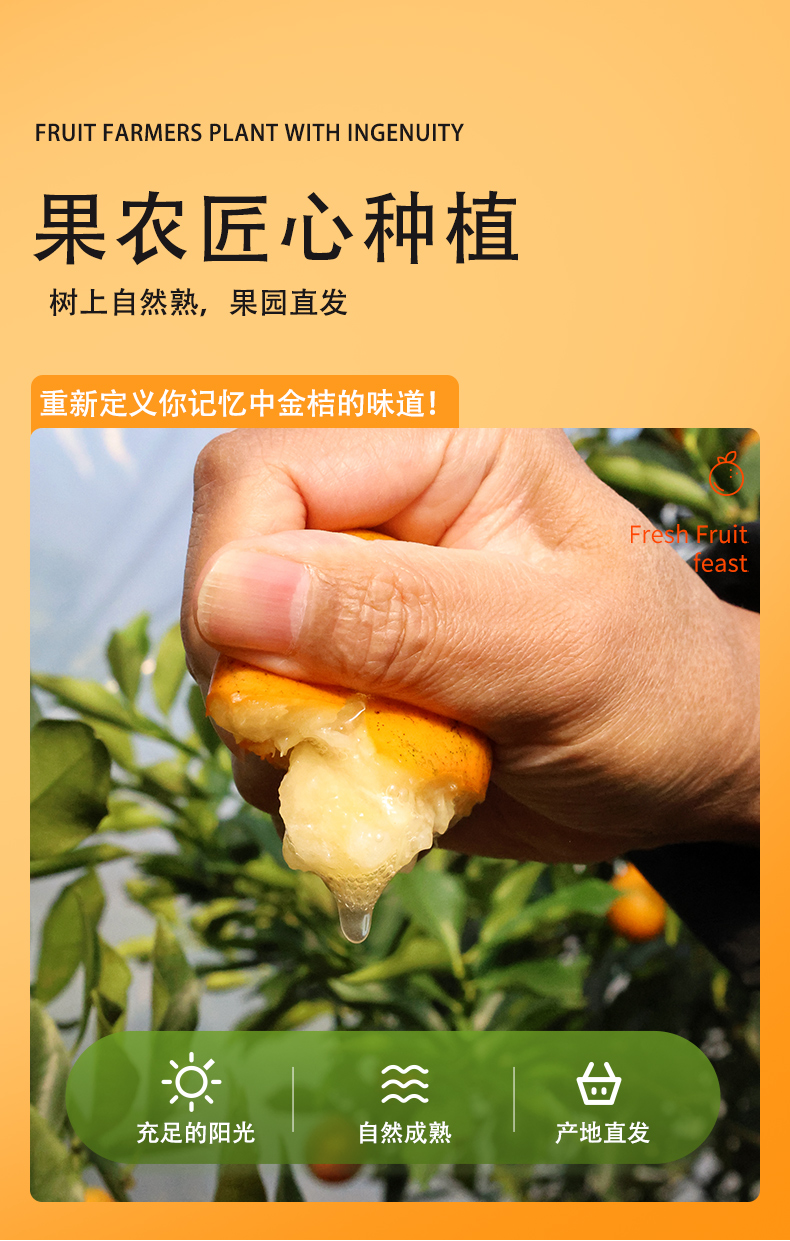 脆蜜金柑详情页_04.jpg