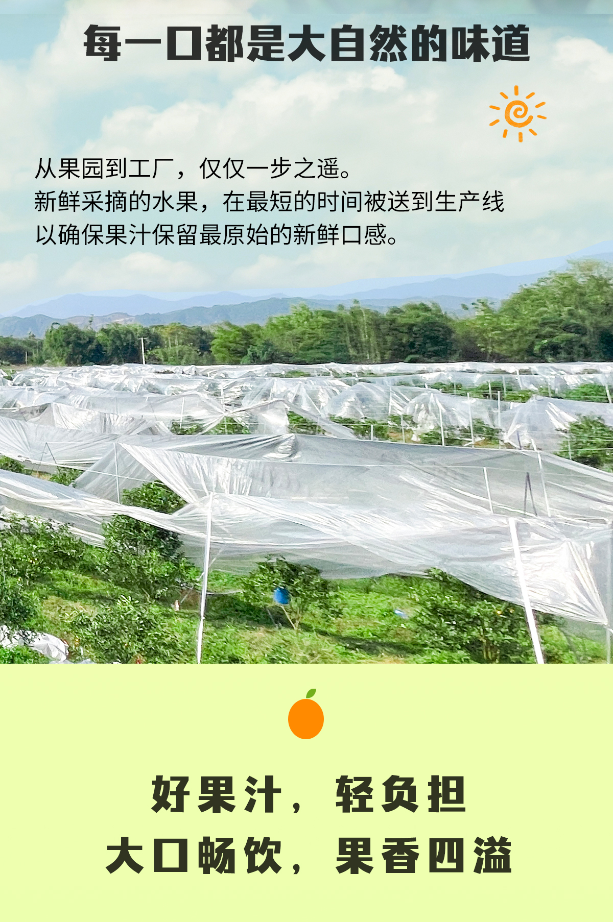 330详情_04.jpg
